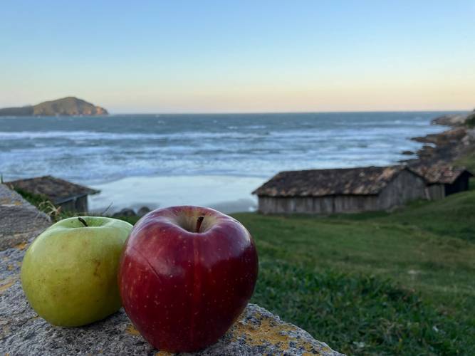 Zwei Äpfel auf einer Mauer, grüner und roter Apfel. Im Hintergrund Meer, Wellen, zwei Holzhäuser und eine bewaldete Insel.