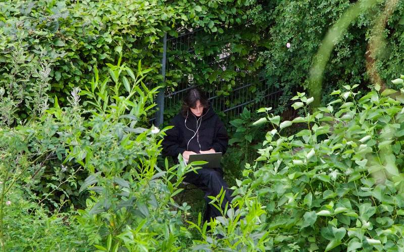 Person mit Kopfhörern und Laptop sitzt im üppigen grünen Gebüsch, umgeben von dichtem Laub und Pflanzen.