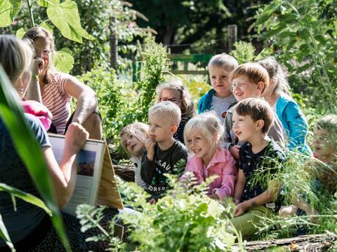 Kinder lernen über Gemüseanbau.