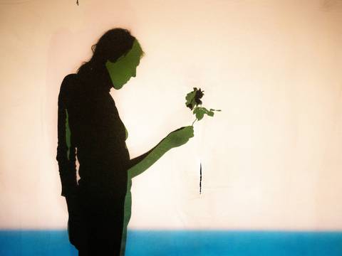  – Eine Silhouette einer Person haelt eine Rose. Hintergrund in Blau und Beige getaucht.