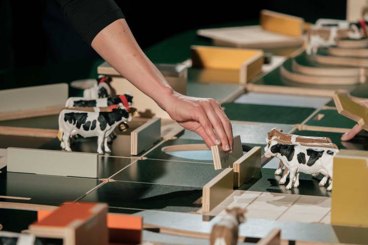 The Game – Eine Person bewegt ein Holzstück in einem Modell mit Spielfiguren von Kühen, die auf einer Fläche stehen.