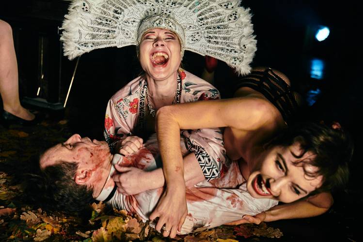 Fabian oder Der Gang vor die Hunde