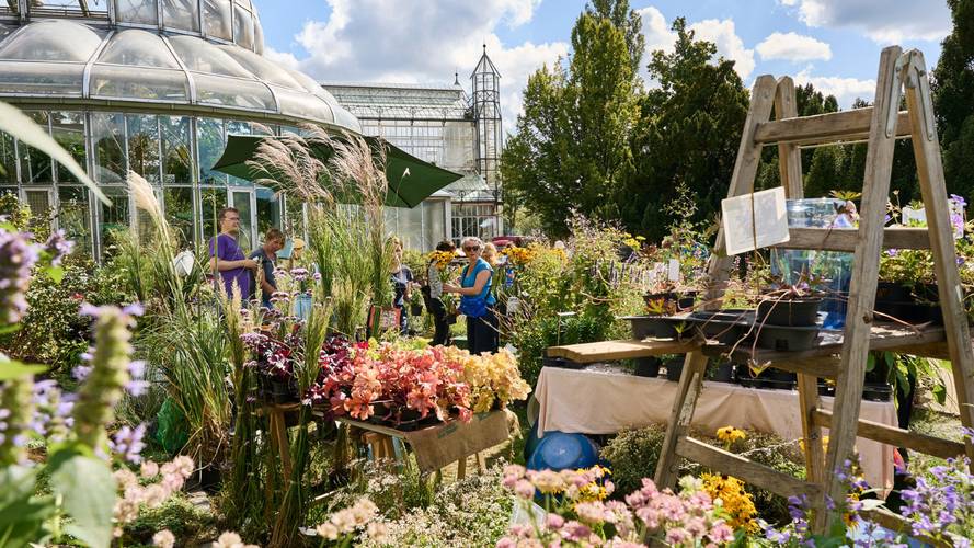 Berliner Staudenmarkt – Berliner Herbststaudenmarkt im Botanischen Garten Berlin