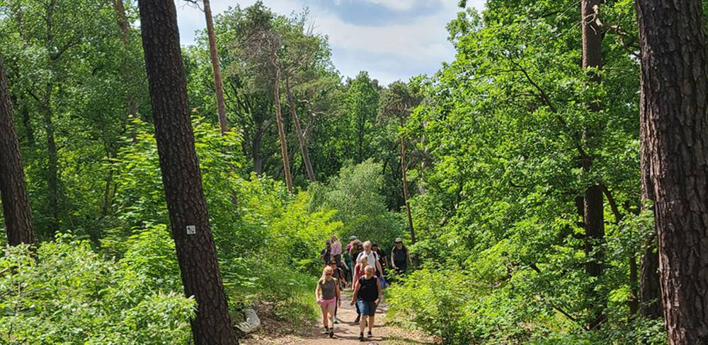 Wanderung mit Wissenswertem im Grunewald