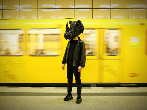 Rhinozeros – ein Comeback