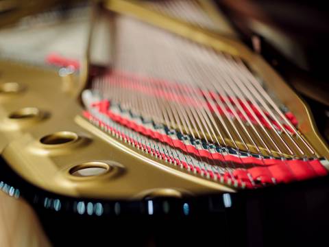 Blick in einen Steinway-Flügel – Blick in einen Steinway-Flügel