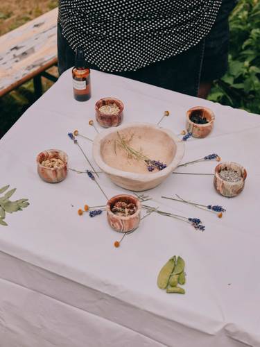 Im Heilkräutergarten Hevrîn Xelef in Berlin-Neukölln – Im Heilkräutergarten Hevrîn Xelef in Berlin-Neukölln