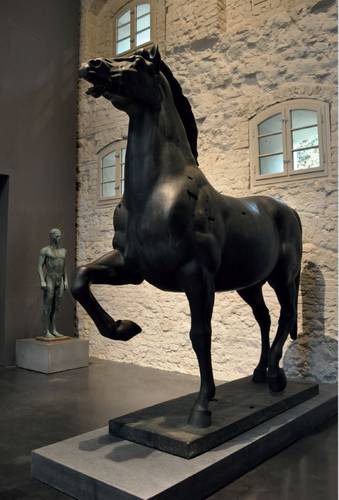 >Thorak Pferd