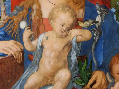 Albrecht Dürer, Die Madonna mit dem Zeisig (Detail), 1506