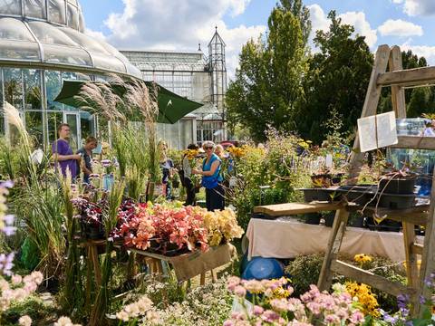 Berliner Staudenmarkt – Berliner Herbststaudenmarkt im Botanischen Garten Berlin
