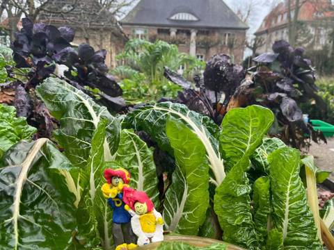 Heckenwesen 2026, Foto: Laureline van den Heuvel – Heckenwesen 2026, Foto: Laureline van den Heuvel