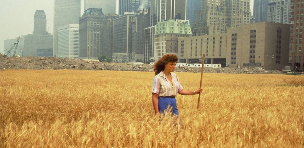 Agnes Denes: Wheatfield, 1982, Film, Für "Wheatfield - A Confrontation: Battery Park Landfill, Downtown Manhattan - With Agnes Denes Standing in the Field, 1982"