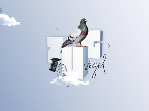 ZUGvögel – Eine Sammlung in Bewegung