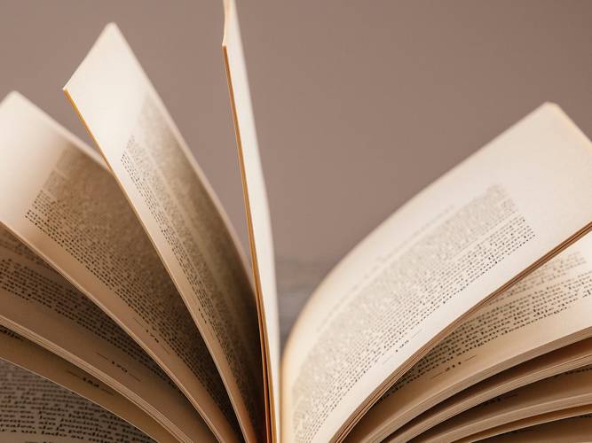 DIE VERBOTENE BIBLIOTHEK