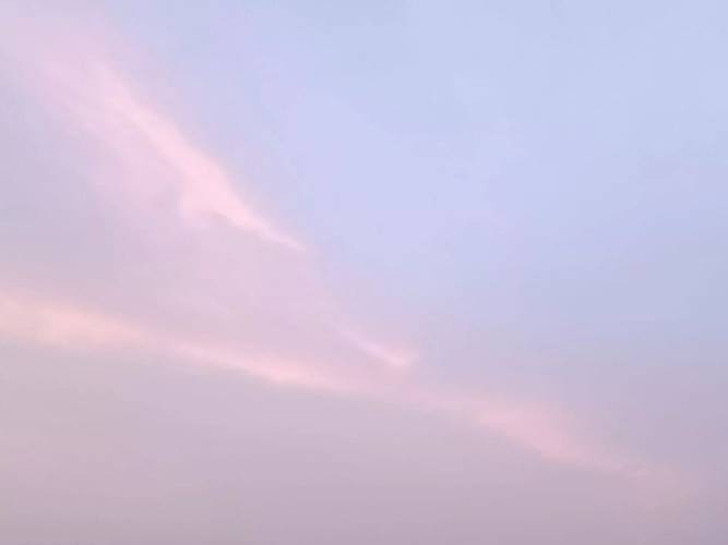 Malkurs in der Liebermann-Villa mit Ana Tomic – Malkurs in der Liebermann-Villa mit Ana Tomic