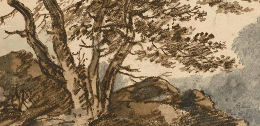 Thomas Gainsborough, Landschaft mit Baumgruppe, Detail, 24,7 x 20 cm, Schwarze Kreide, Pinsel in Grau, Braun und Weiß, Detail