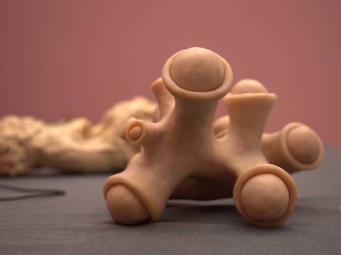 sexual creeping, institut für postevolutionäre lebensformen (Installationsansicht), Kunstmuseum Heidenheim, 2021,