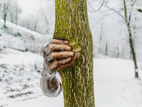 Giuseppe Penone, "Toccare il tempo (To Touch the Time)", 2004-2008