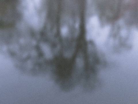  – Unscharfe Spiegelung von Bäumen im Wasser.