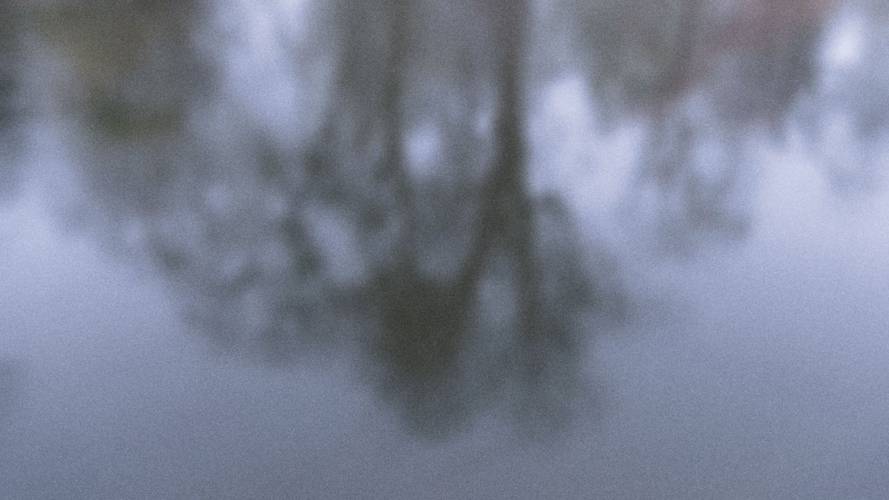 Unscharfe Spiegelung von Bäumen im Wasser.