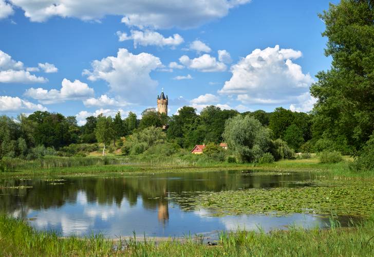 Park Babelsberg, Blick über den Kindermannsee Richtung Flatowturm – Park Babelsberg im Sommer, Blick über den Kindermannsee Richtung Flatowturm
