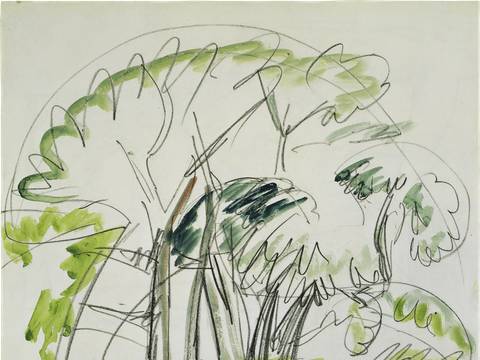 Ernst Ludwig Kirchner, Baumgruppe auf Fehmarn, 1913, Aquarell über Kreide auf Papier, Brücke-Museum