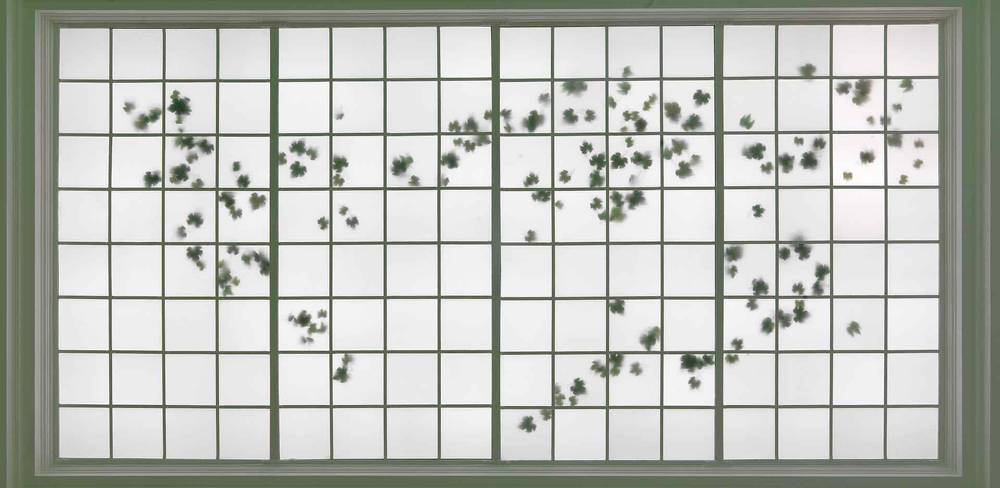 Olaf Nicolai, Naturstück, 1996, Weinlaub aus Stoff und Kunststoff – Fenster mit Sprossen in einem Rastersystem; einige Glasscheiben sind von außen mit Blättern bedeckt.