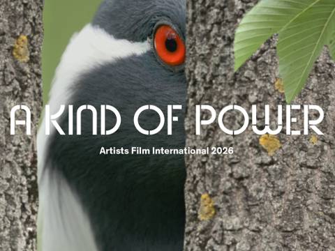 Ann Oren, Zoologische Gesellschaft, 2021, Videostill + Logotext Courtesy – Nahaufnahme eines Vogels mit rotem Auge, versteckt hinter Baumstämmen. Text: A KIND OF POWER. Artists Film International 2026.