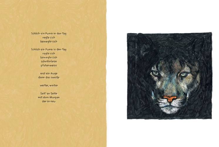 Buch "Schlich ein Puma in den Tag"