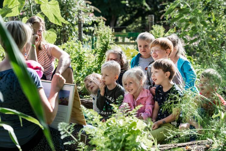 Kinder lernen über Gemüseanbau.