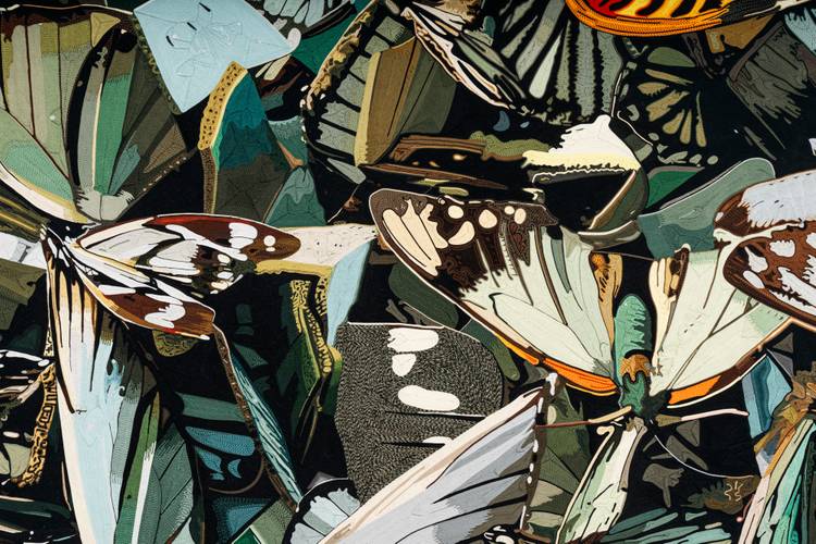 Pae White, Untitled, 2026; Photo: Santiago Vega, Guadalajara.