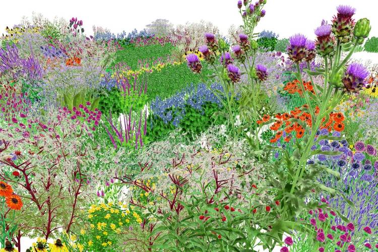 Pollinator Pathmaker
