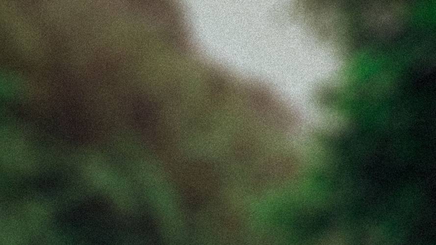 Verschwommene Darstellung von grünen und braunen Farben, möglicherweise ein Wald. Keine erkennbaren Details oder Objekte.