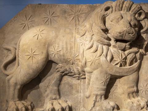 Gipskopie des Löwenhoroskops von Nemrut Dağı in der Ausstellung – Relief eines Löwen aus Stein mit neun achtzackigen Sternen. Der Löwe hat eine Mähne und zeigt Zähne. Hintergrund blau. Text oben: schwer lesbar.