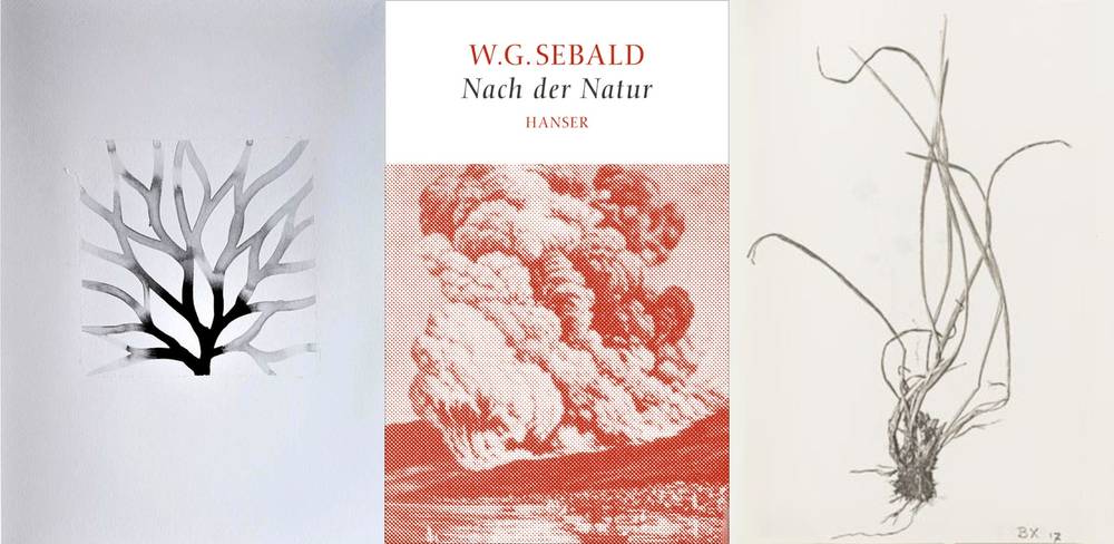 Details aus Christiane Löhr, Granai, 1999 und herman de vries, 16 dm2, 1979 © VG Bild-Kunst Bonn; W. G. Sebald, Nach der Natur, 2015 – Mittig ein Buchcover: W.G. Sebald, Nach der Natur, Hanser, mit roter Wolkenzeichnung. Links und rechts abstrakte Schwarzweißzeichnungen.