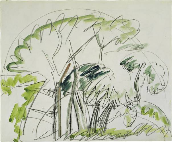 Ernst Ludwig Kirchner, Baumgruppe auf Fehmarn, 1913, Aquarell über Kreide auf Papier, Brücke-Museum