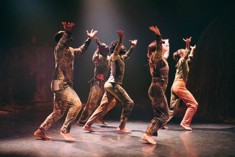 Aufführung "Combat des lianes" von Zora Snake im Théâtre National Wallonie-Bruxelles (Premiere September 2025) – Aufführung "Combat des lianes" von Zora Snake im Théâtre National Wallonie-Bruxelles (Premiere September 2025)