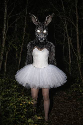 © Bjørn de Wildt/KI