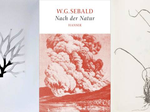 Details aus Christiane Löhr, Granai, 1999 und herman de vries, 16 dm2, 1979 © VG Bild-Kunst Bonn; W. G. Sebald, Nach der Natur, 2015 – Mittig ein Buchcover: W.G. Sebald, Nach der Natur, Hanser, mit roter Wolkenzeichnung. Links und rechts abstrakte Schwarzweißzeichnungen.