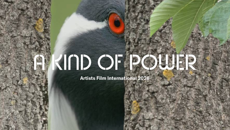 Ann Oren, Zoologische Gesellschaft, 2021, Videostill + Logotext Courtesy – Nahaufnahme eines Vogels mit rotem Auge, versteckt hinter Baumstämmen. Text: A KIND OF POWER. Artists Film International 2026.